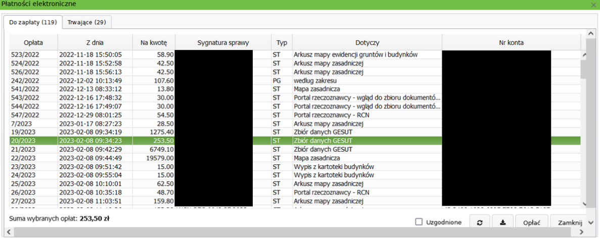 Widok okna płatności elektronicznych do zapłaty