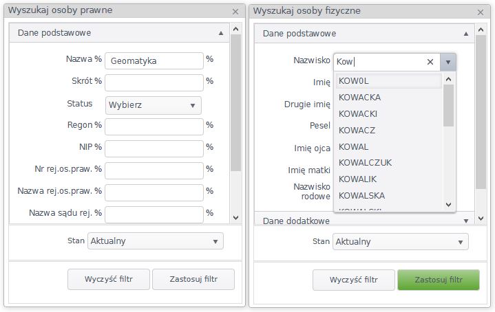 Widok okien wyszukiwania osób fizycznych i prawnych